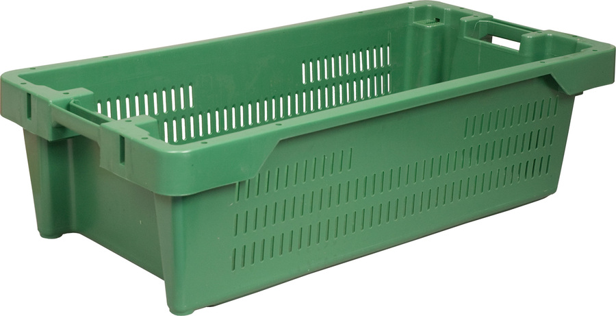 mini79753560-060a-498c-a9bb-6541a19d8836